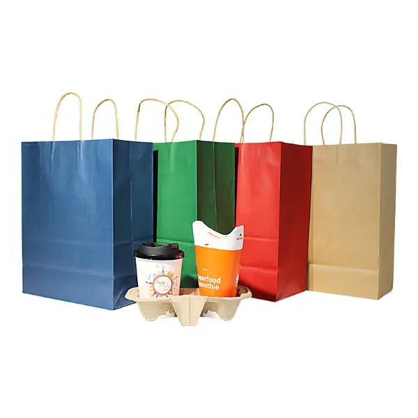 Scorta grandi sacchetti regalo di carta kraft con manici disponibili in diversi colori uniti.