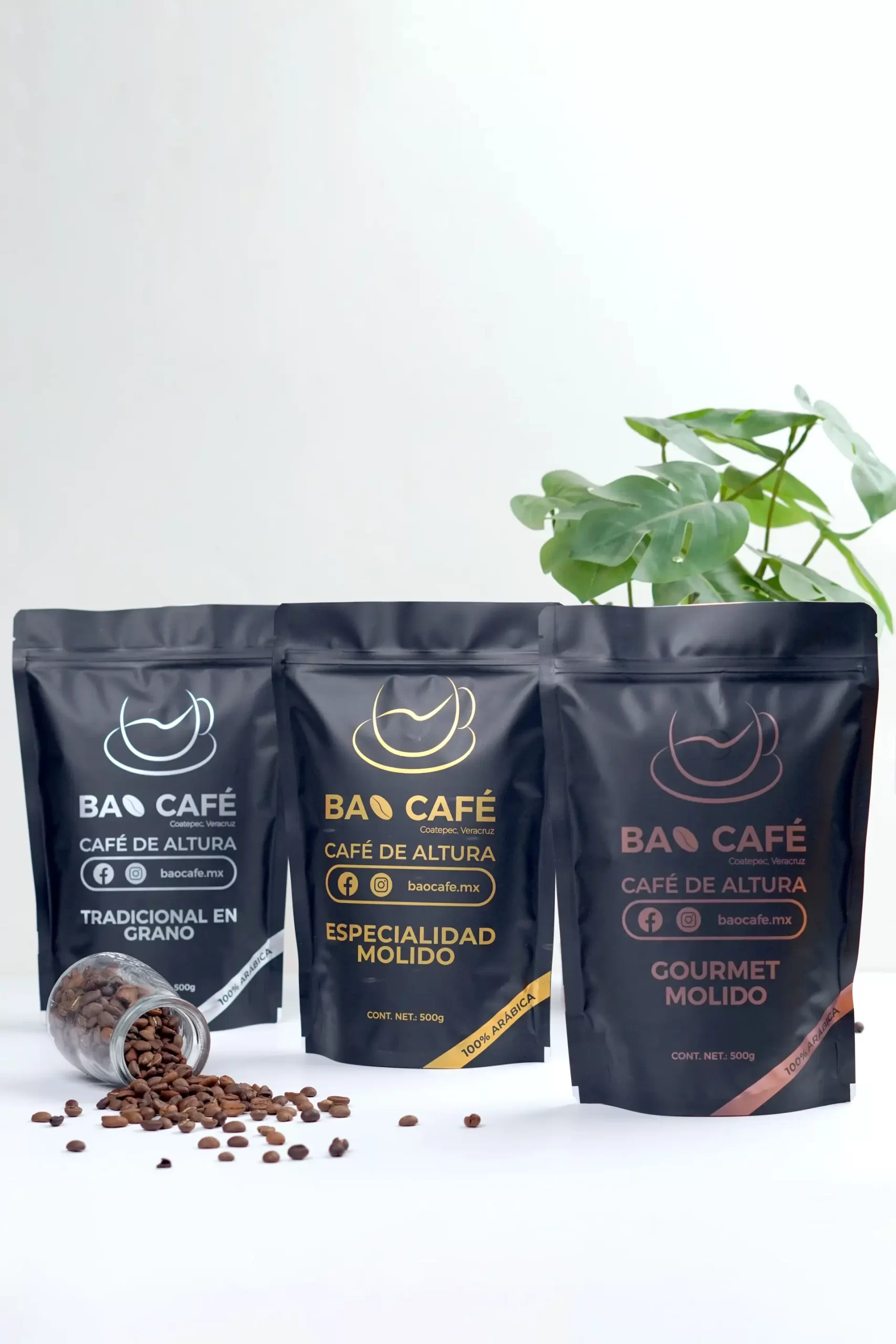 Sacchetti di caffè con fondo a scatola